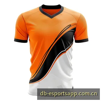 DOTA2 国际邀请赛及王者荣耀职业联赛赛况